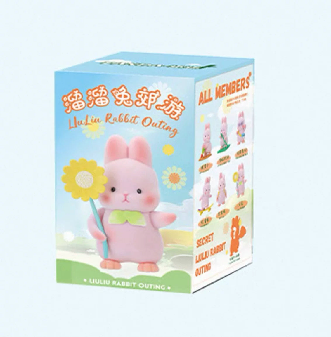 Liuliu Rabbit outing series unbox toy